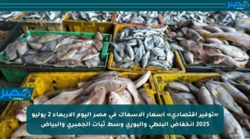 «توفير اقتصادي» أسعار الأسماك في مصر اليوم الأربعاء 2 يوليو 2025 انخفاض البلطي والبوري وسط ثبات الجمبري والبياض